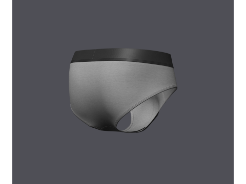 Mens Brief Model 3D