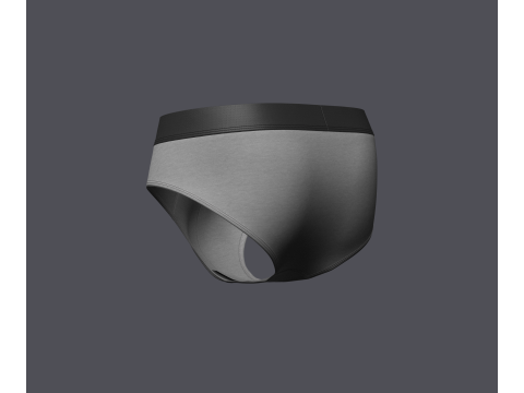 Mens Brief Model 3D