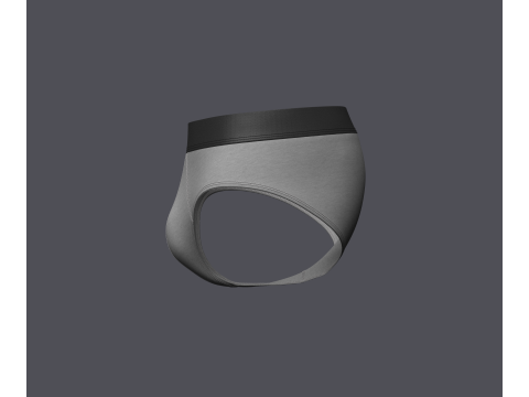 Mens Brief Model 3D