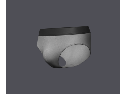 Mens Brief Model 3D
