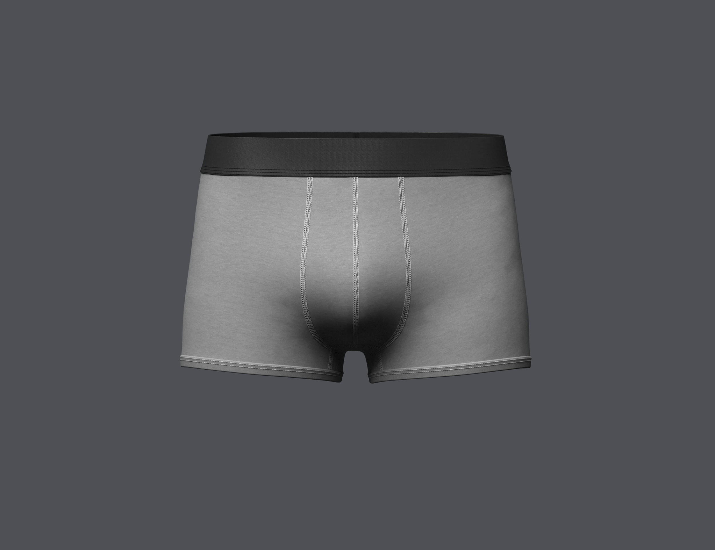 Mens Boxer Brief 3D Model .c4d .max .obj .3ds .fbx .stl .blend 