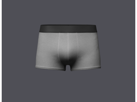 Mens Boxer Brief 3Dモデル