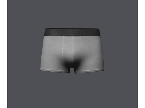 Mens Boxer Brief Model 3D