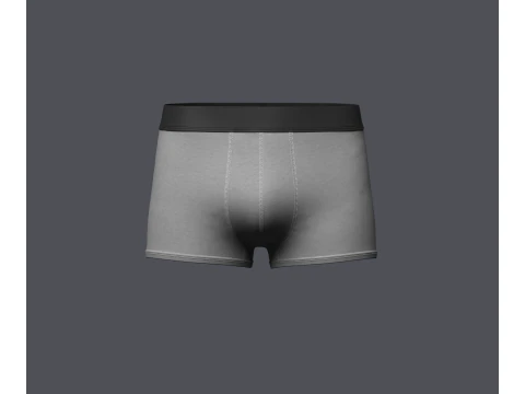 Mens Boxer Brief 3D Model