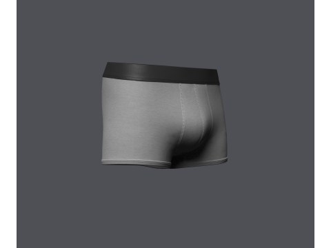 Mens Boxer Brief Model 3D