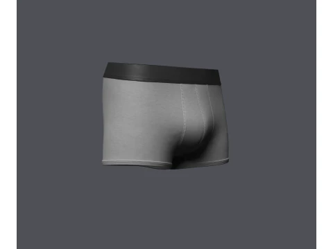 Mens Boxer Brief 3D Model