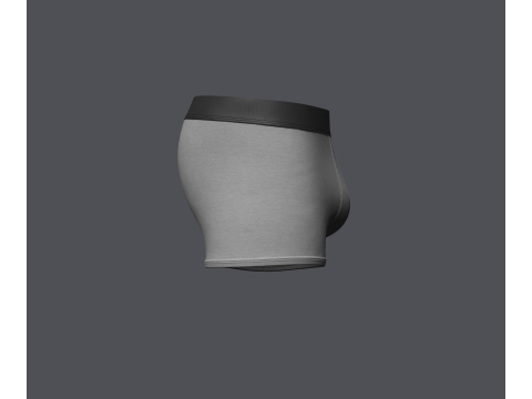 Mens Boxer Brief Model 3D