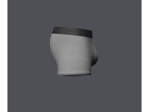 Mens Boxer Brief 3D Model