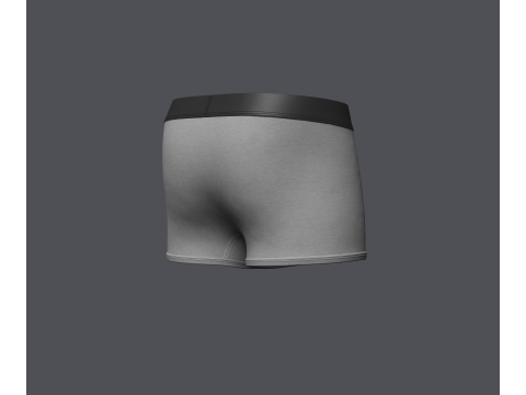 Mens Boxer Brief Model 3D