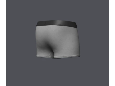 Mens Boxer Brief 3D Model