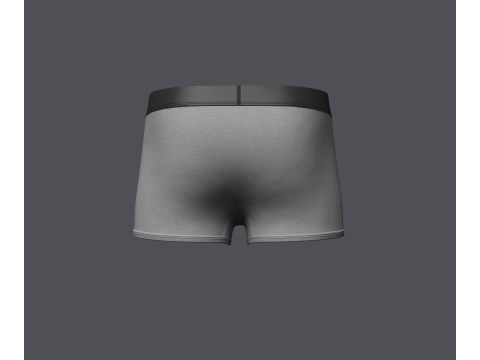 Mens Boxer Brief Model 3D