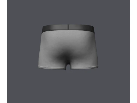 Mens Boxer Brief 3D Model