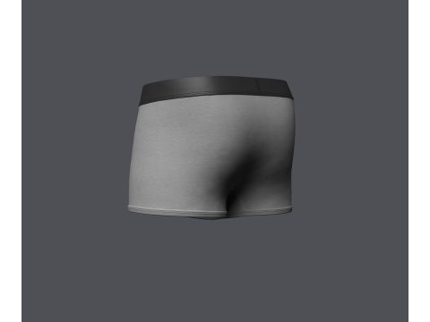 Mens Boxer Brief Model 3D