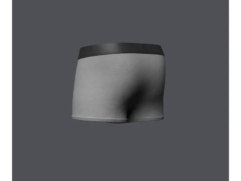 Mens Boxer Brief 3D Model