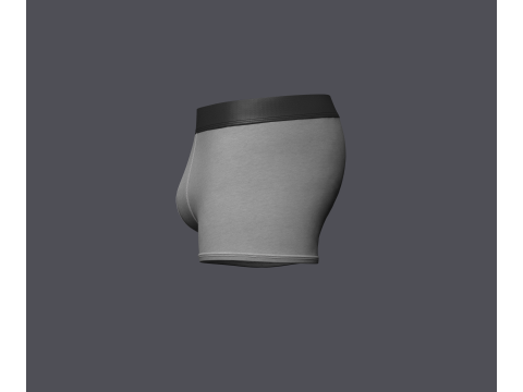 Mens Boxer Brief Model 3D