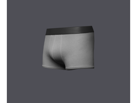 Mens Boxer Brief Model 3D