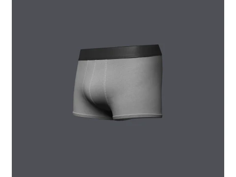 Mens Boxer Brief 3D Model