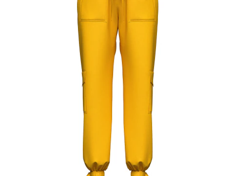 Womens Pant 3D Model