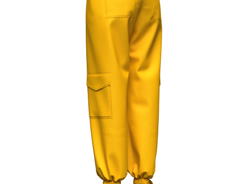 Womens Pant Modèle 3D
