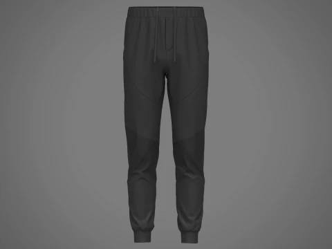 Jogger de nylon masculino Modelo 3D