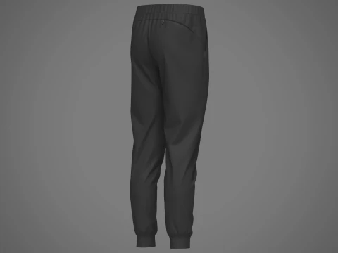 Jogger de nylon masculino Modelo 3D