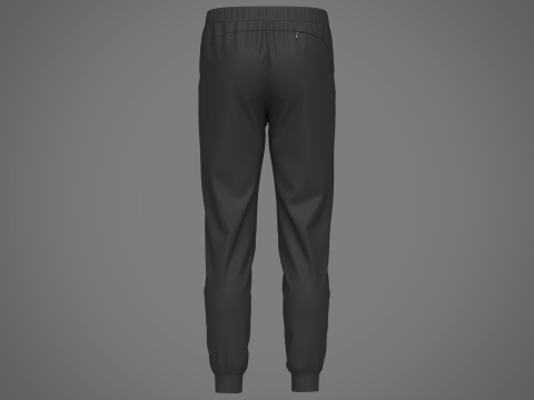 Mens Nylon Jogger Modelo 3D