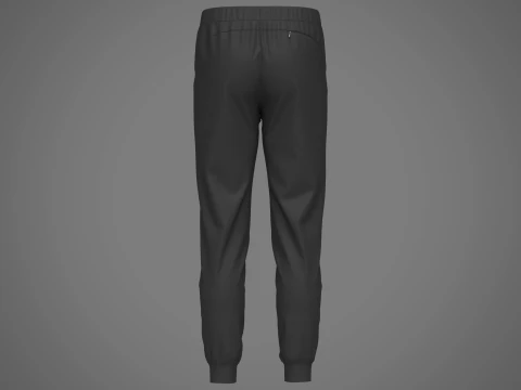 Jogger de nylon masculino Modelo 3D