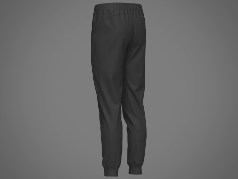 Mens Nylon Jogger Modelo 3D