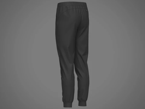 Jogger de nylon masculino Modelo 3D