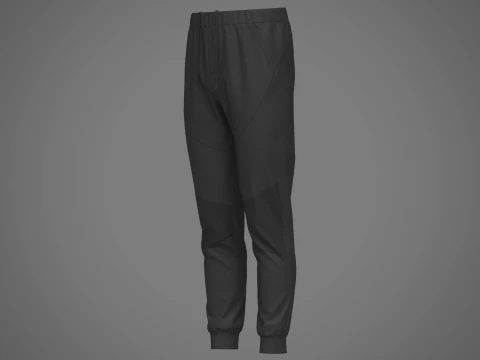 Jogger de nylon masculino Modelo 3D