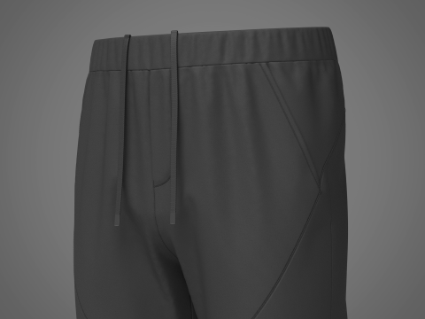 Mens Nylon Jogger Modelo 3D