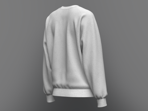 Womens Loose fit Raglan Sweatshirt 3D Model