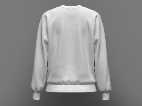 Womens Loose fit Raglan Sweatshirt 3D Model
