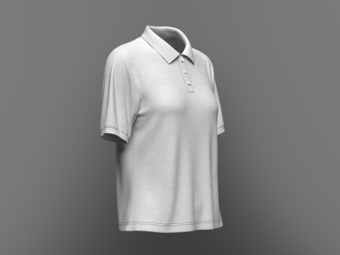 Women Regular Fit Half Sleeve Polo T-Shirt 3D Model