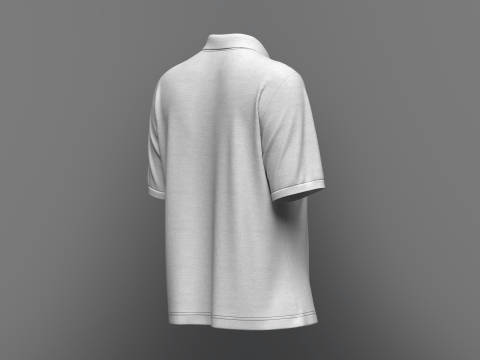 Women Regular Fit Half Sleeve Polo T-Shirt 3D Model