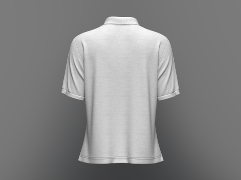 Women Regular Fit Half Sleeve Polo T-Shirt 3D Model