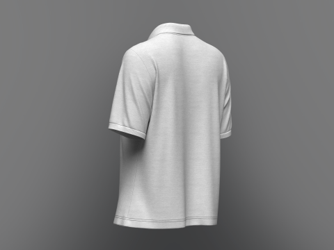 Women Regular Fit Half Sleeve Polo T-Shirt 3D Model