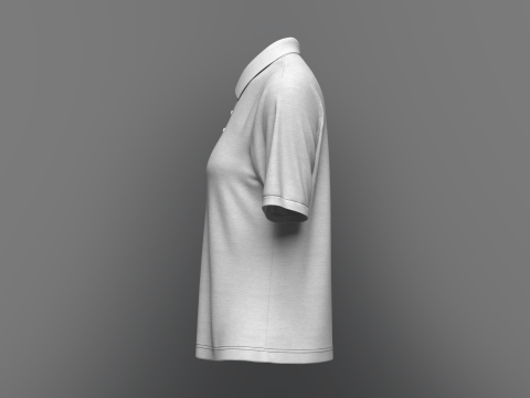 Women Regular Fit Half Sleeve Polo T-Shirt 3D Model