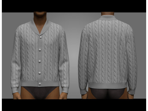Men Sweaters Cardigans 3D 模型