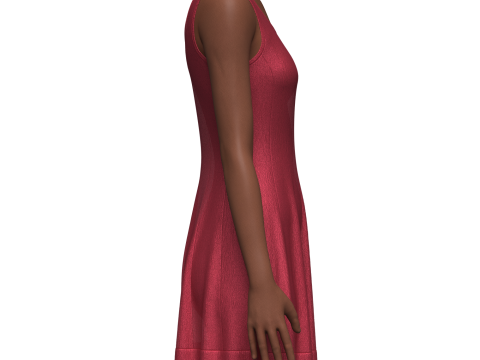 Female Fit and Flare Dress 3D Model