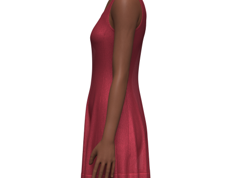 Female Fit and Flare Dress 3D Model