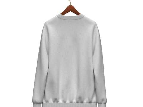 Unisex Raglan Sweatshirt 3D 모델