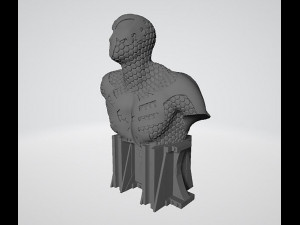 Spiderman Bust 3D Print Model