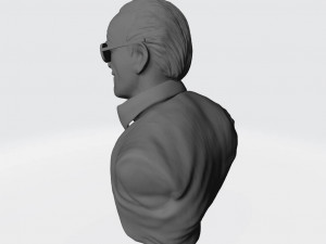 Stan Lee Bust 3D Print Model