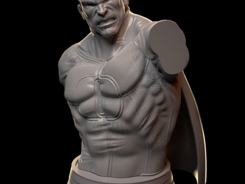 Omniman Bust 3D Print Model