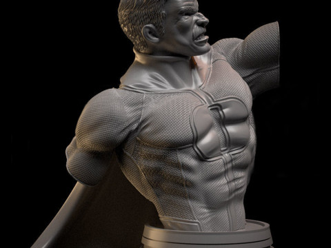 Omniman Bust 3D Print Model