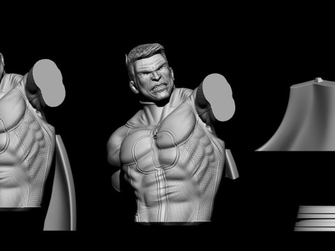 Omniman Bust 3D Print Model