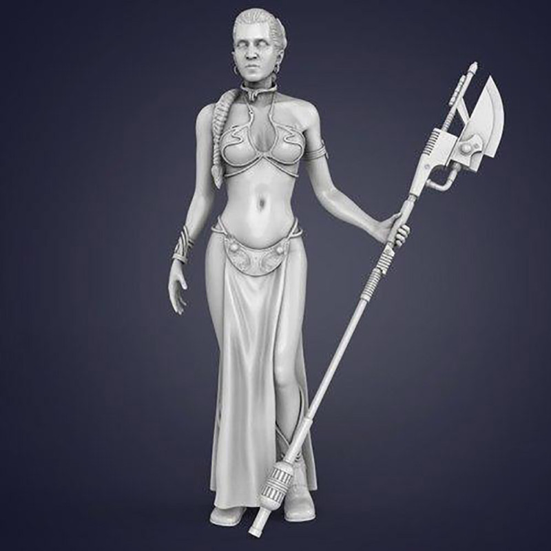 Princess Leia - Star Wars 3D प्रिंट मॉडल .c4d .max .obj .3ds .fbx .stl .blend