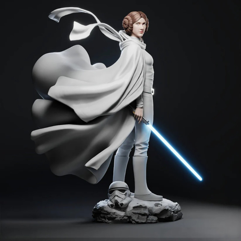 Princess Leia - Star Wars 3D 프린트 모델 .c4d .max .obj .3ds .fbx .stl .blend