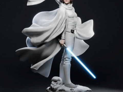 Princess Leia - Star Wars 3D 프린트 모델